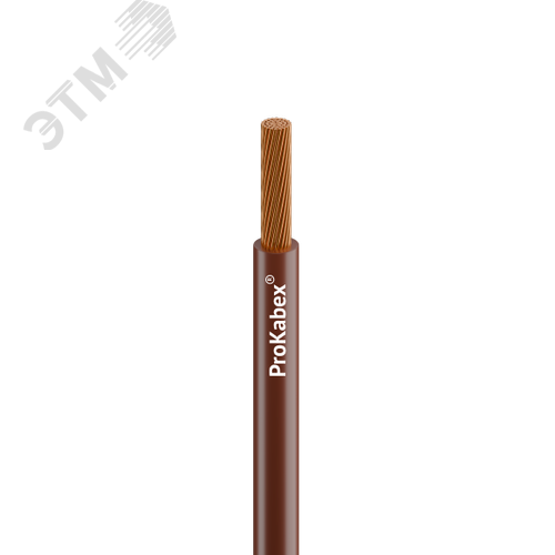 Провод силовой ПуГВнг(A)-LS 1х10 коричневыйТРТС - фото 1